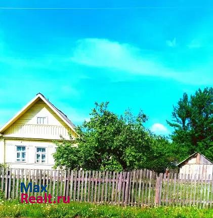 купить частный дом Старая Русса Великосельское сельское поселение, деревня Большие Боры