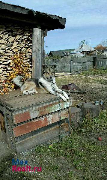 Североуральск Североуральский городской округ, посёлок Покровск-Уральский