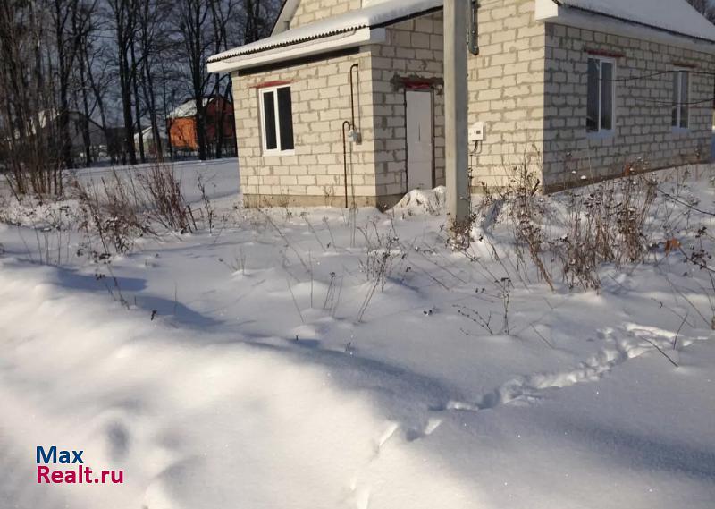 Борисовка посёлок городского типа Борисовка, Борисовский район, Агрономическая улица, 1 частные дома