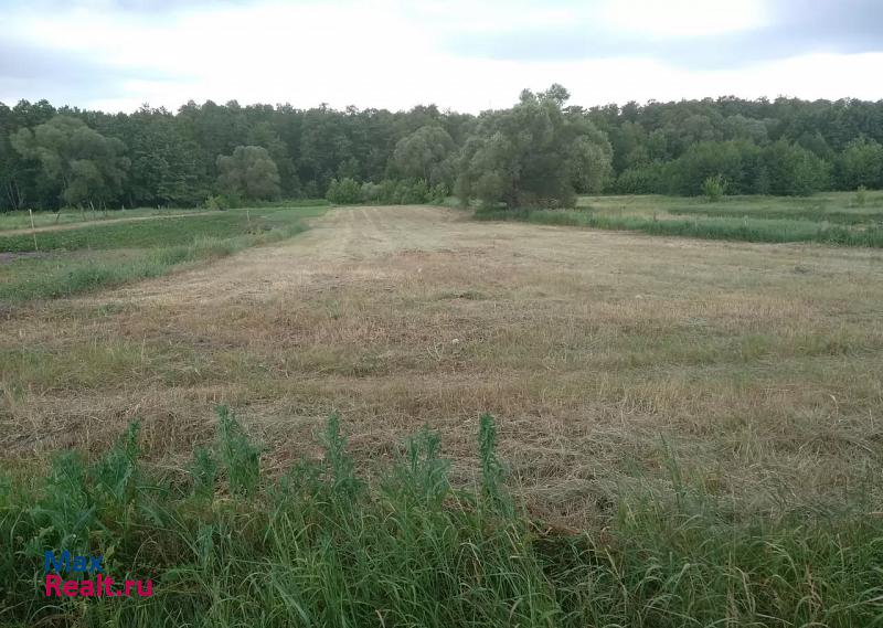 купить частный дом Рамонь село Ступино