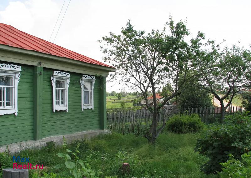 Касимов село Куземкино, Центральная улица