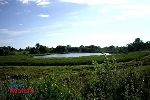 купить частный дом Ряжск село Городецкое, Советская улица, 1