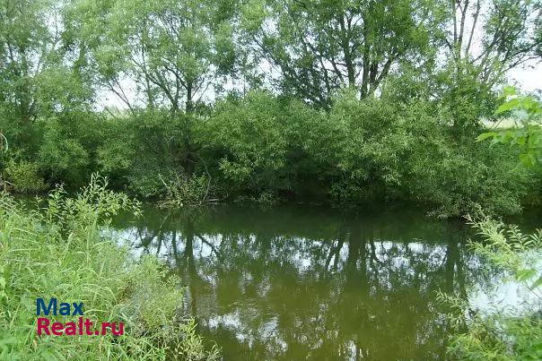 Ряжск село Городецкое, Советская улица, 1 частные дома