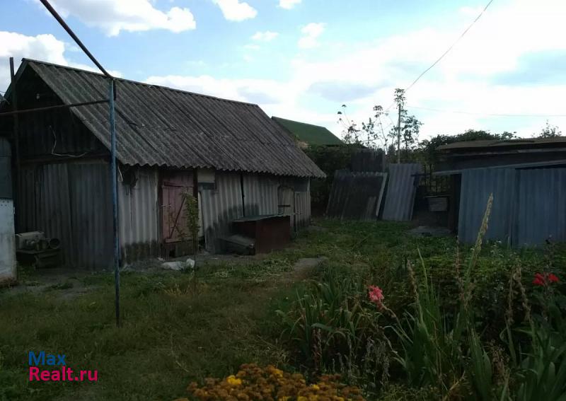 Новый Оскол Новооскольский городской округ, село Великомихайловка