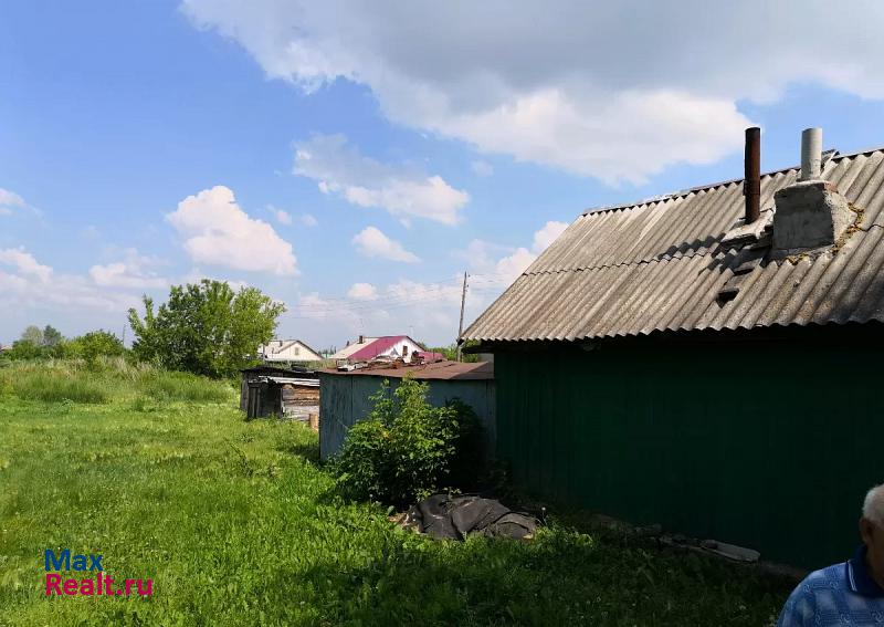 Алейск Алтайский край Алейский район совхоз Алейский ул.Парковая 18/1 продажа частного дома