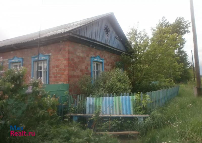 Калачинск село Кабанье, Юбилейная улица продажа частного дома
