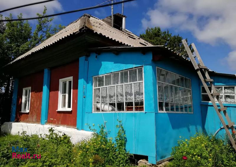 купить частный дом Заринск село Хмелевка