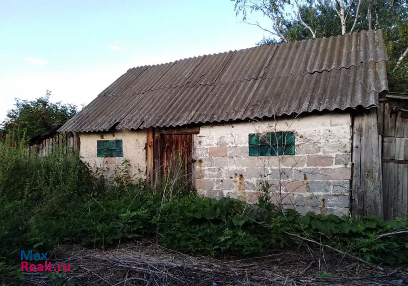 Сасово село Рогожка частные дома