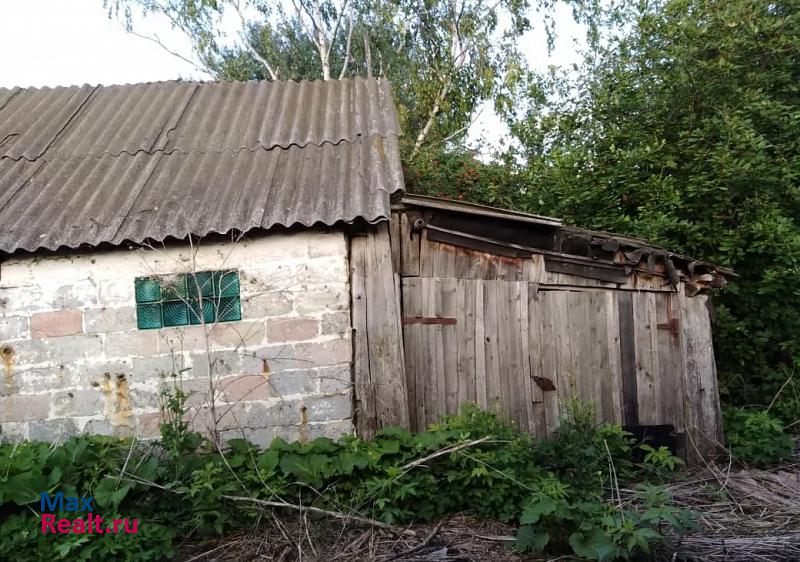Сасово село Рогожка продажа частного дома