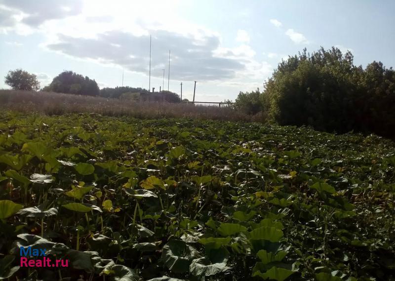 Похвистнево село Султангулово дом купить