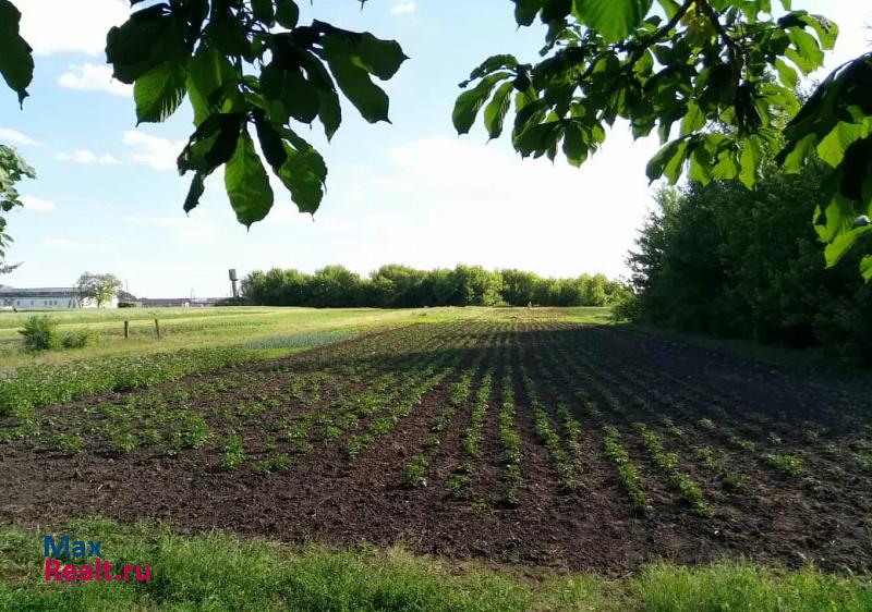 Суджа село Большое Солдатское, Кооперативная улица, 102 частные дома