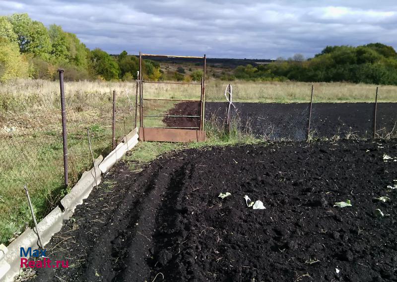 Нововоронеж село Яблочное дом купить