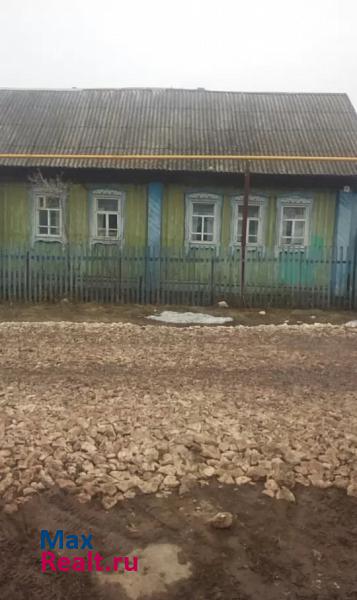 Заинск село Куш-Елга продажа частного дома