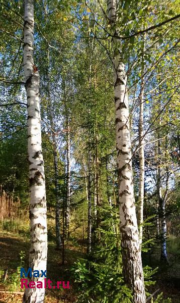 Яхрома деревня Иванцево дом