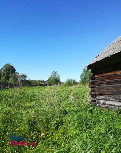 Струнино деревня Долматово, Деревенская улица