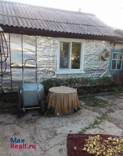 купить частный дом Райчихинск село Зелёный Бор