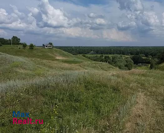 Рамонь Пионерский пер, 23 дом