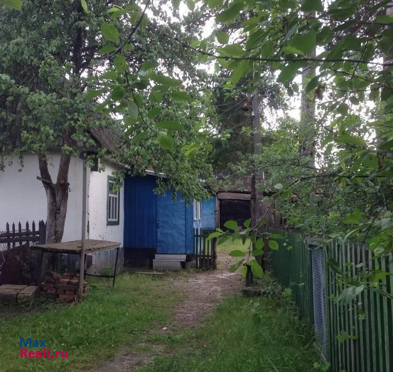 Рамонь посёлок Бор, Пристанционная улица частные дома