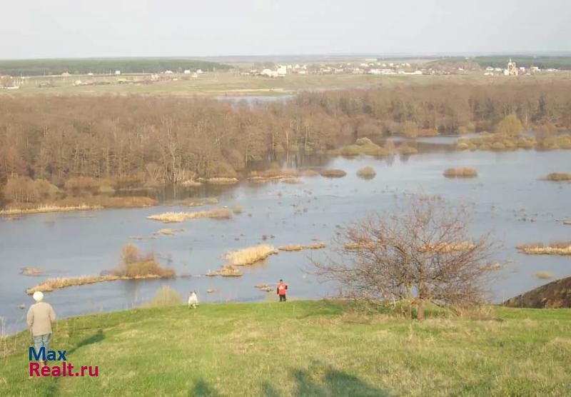 Рамонь Рамонский р-н, с. Глушицы, Нагорная-20а дом