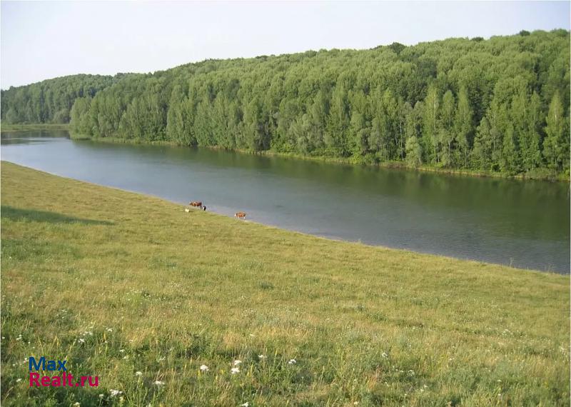 Обоянь деревня Старая Кривцовка дом