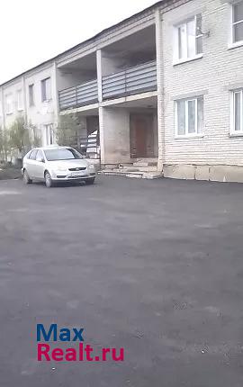 Шумиха улица Белоносова, 49 продажа квартиры
