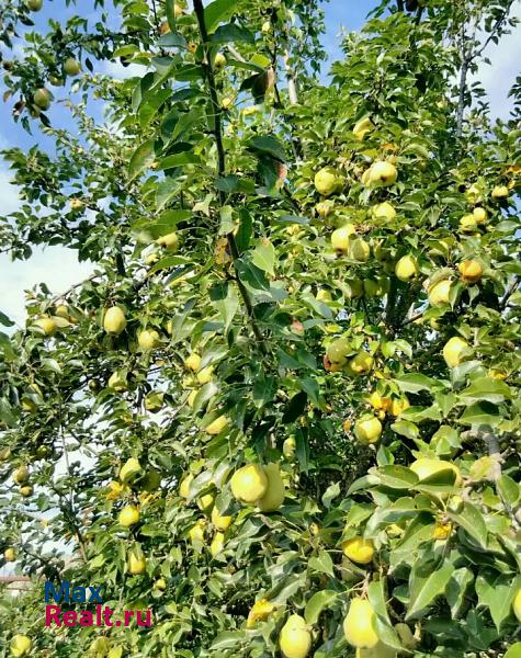 Варениковская станица Варениковская дом купить