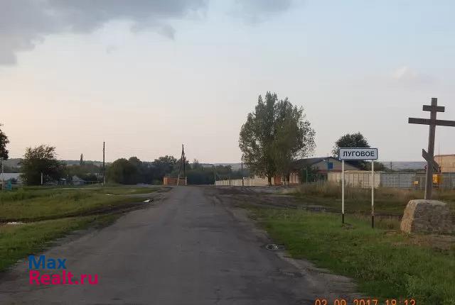 Богучар село Луговое