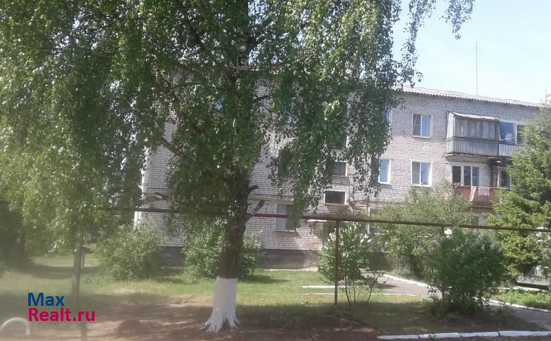 Нижегородская область, поселок городского типа Центральный, 3 Гороховец купить квартиру