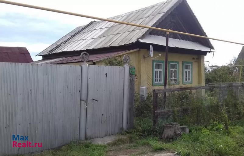 Менделеевск село Камаево, улица Дифгата Сирая частные дома