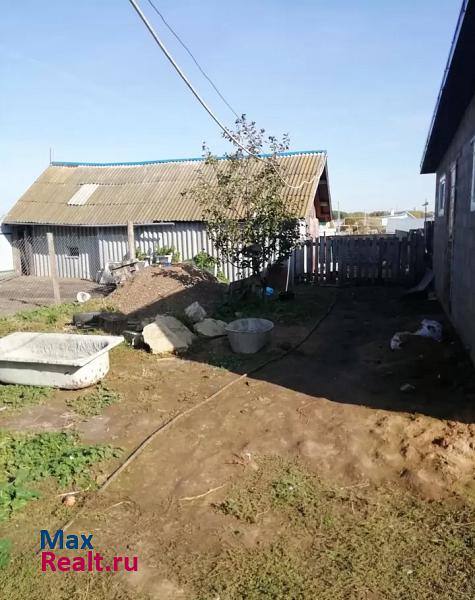 Менделеевск село Бизяки частные дома