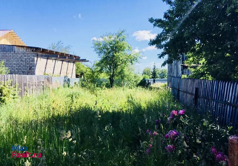 Менделеевск Ижевское сельское поселение, село Ижевка, Татарская улица, 1 частные дома