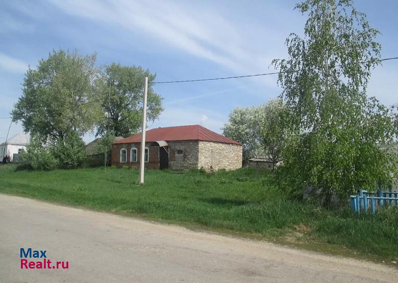 Задонск село Ксизово, Центральная улица частные дома