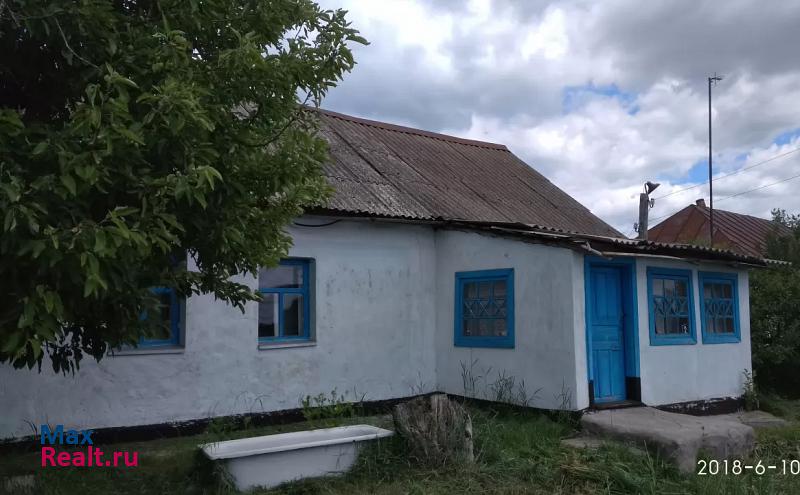 Задонск деревня Софиевка