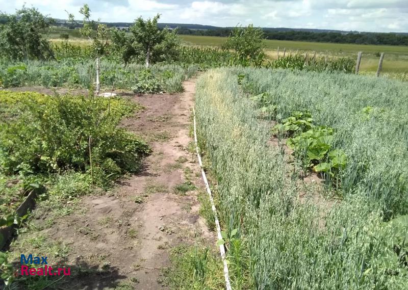 Задонск село Тюнино, Донская улица, 2 дом купить