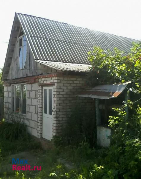 Борисовка село Стригуны