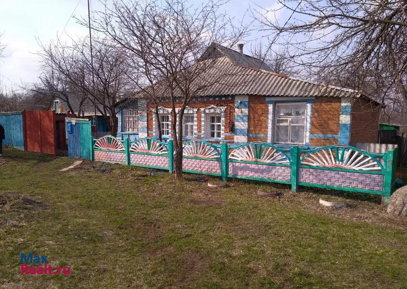 купить частный дом Борисовка село Грузское