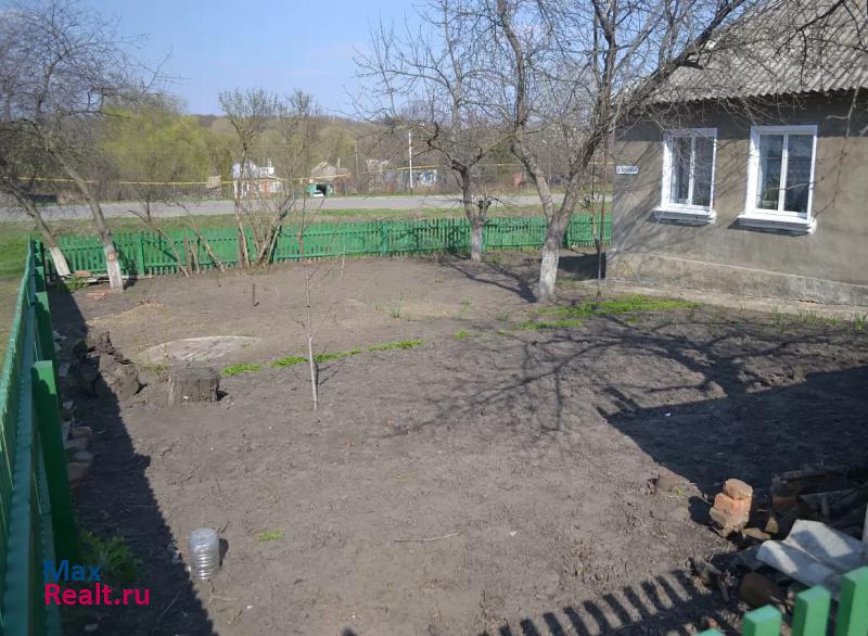 Борисовка село Грузское частные дома