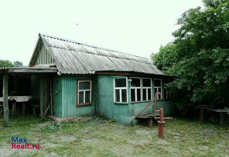 Борисовка село Красный Куток, Советская улица продажа частного дома