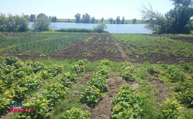 Борисовка с. Березовка, ул Лутай частные дома