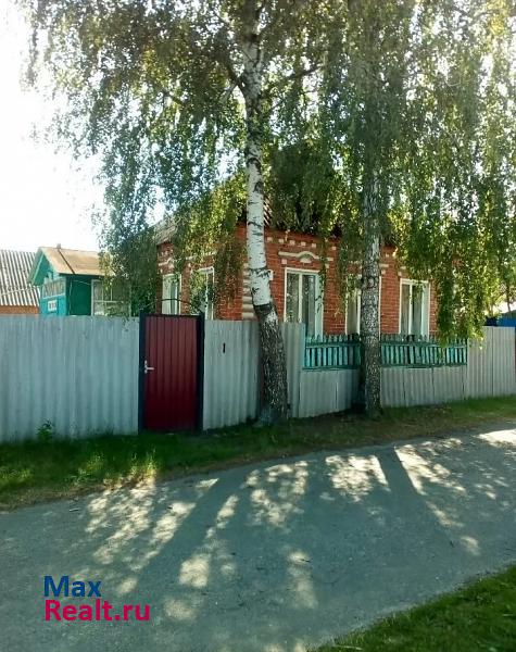 Борисовка село Красный Куток частные дома