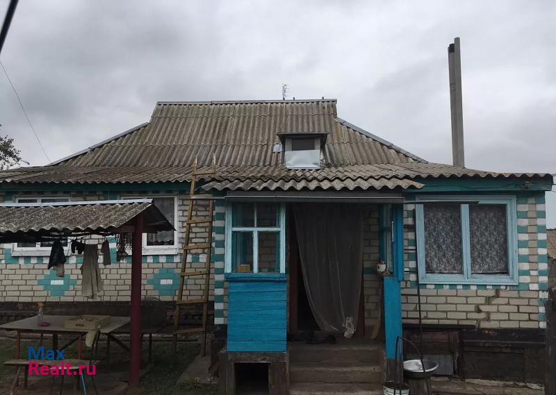 купить частный дом Борисовка село Грузское