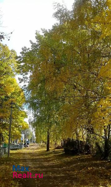 Козьмодемьянск село Виловатово дом