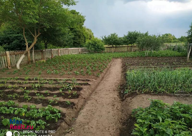 Новомичуринск село Кисьва квартира купить без посредников