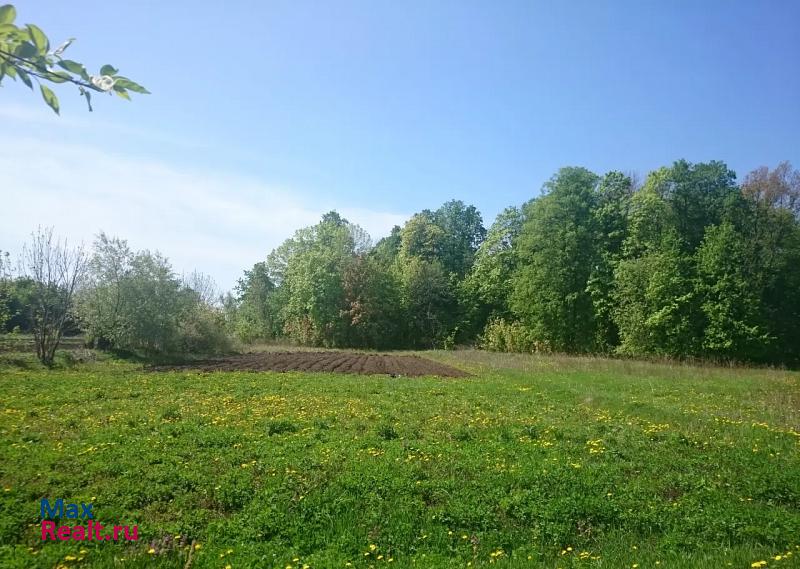 Новомичуринск Пронский район, село Маклаково частные дома