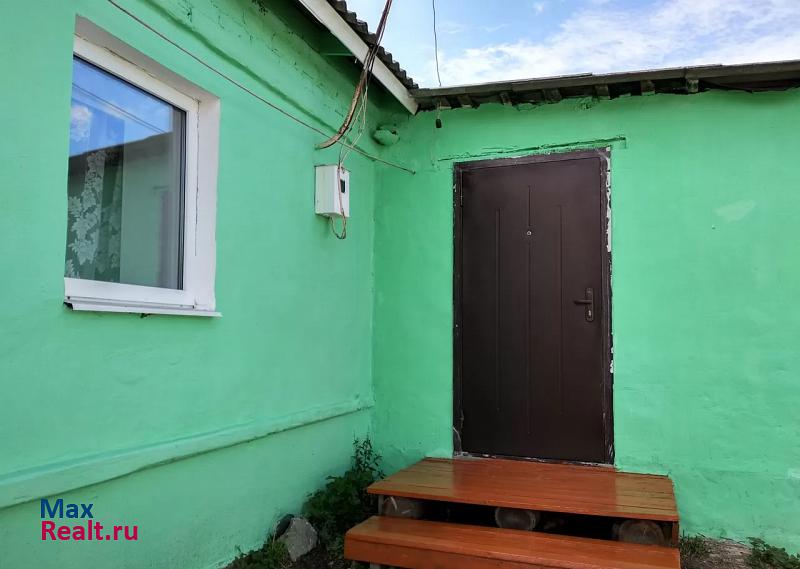 Новомичуринск деревня Дубовое продажа частного дома