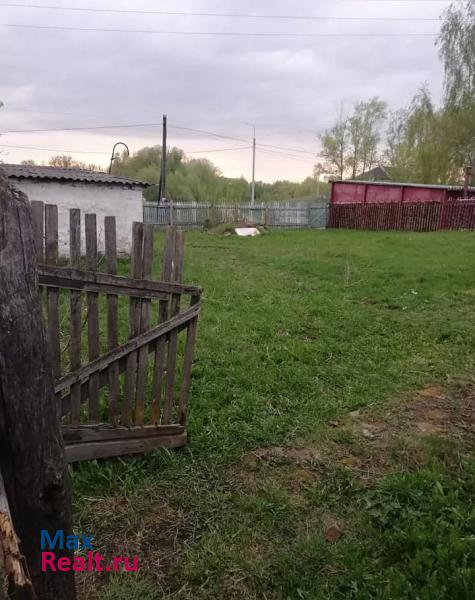 Новомичуринск деревня Мамоново, Центральная улица