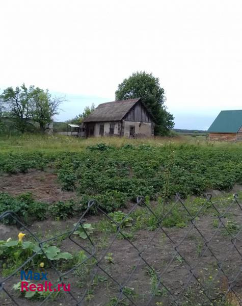 Жуковка деревня Глинки дом