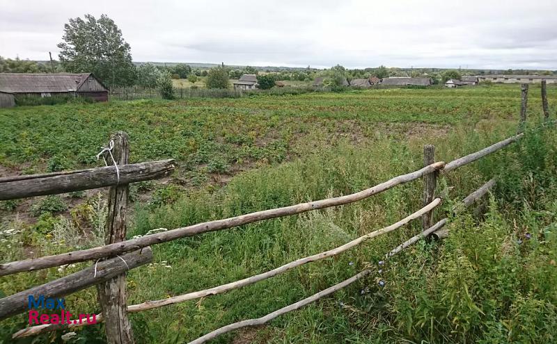 Нижний Ломов село Аршиновка дом