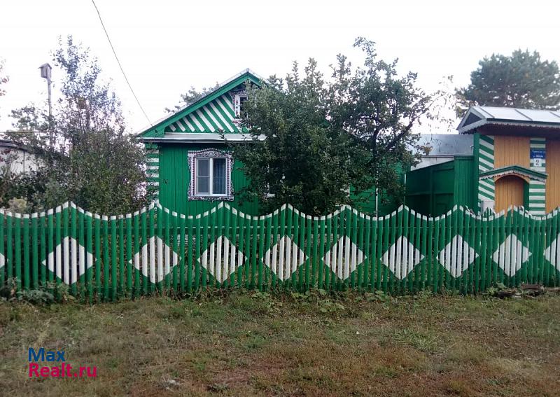Буинск село Новые Чечкабы