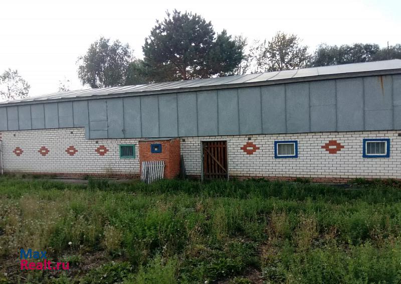 Буинск село Новые Чечкабы частные дома